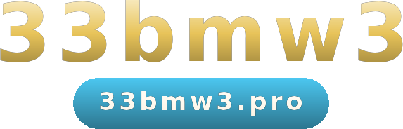 33bmw3 logo
